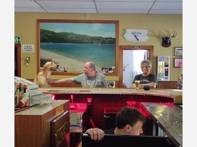 Who is going to win the MLB NL Central this year?