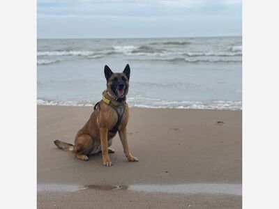 Pet Photos of the Day: Cedarburg - 6/18/21