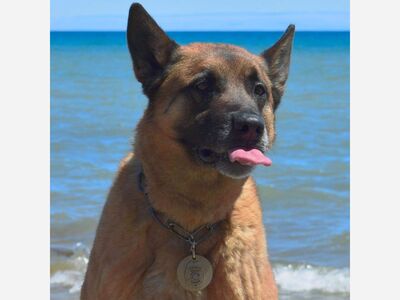 Cedarburg Police Chase in Downtown Area on June 14, 2021