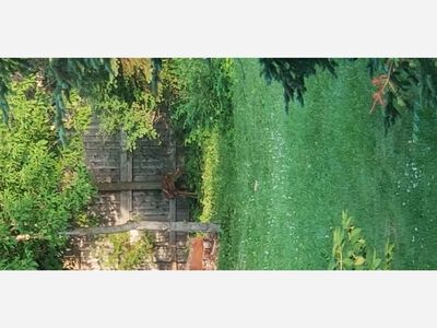 Photo of the Day: Grafton