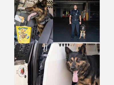 Mequon Police Dogs & Weekly Calls for Service