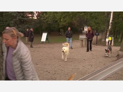 Support a Fundraiser to Help Make Improvements to Local Dog Park 